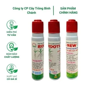 Sản phẩm A